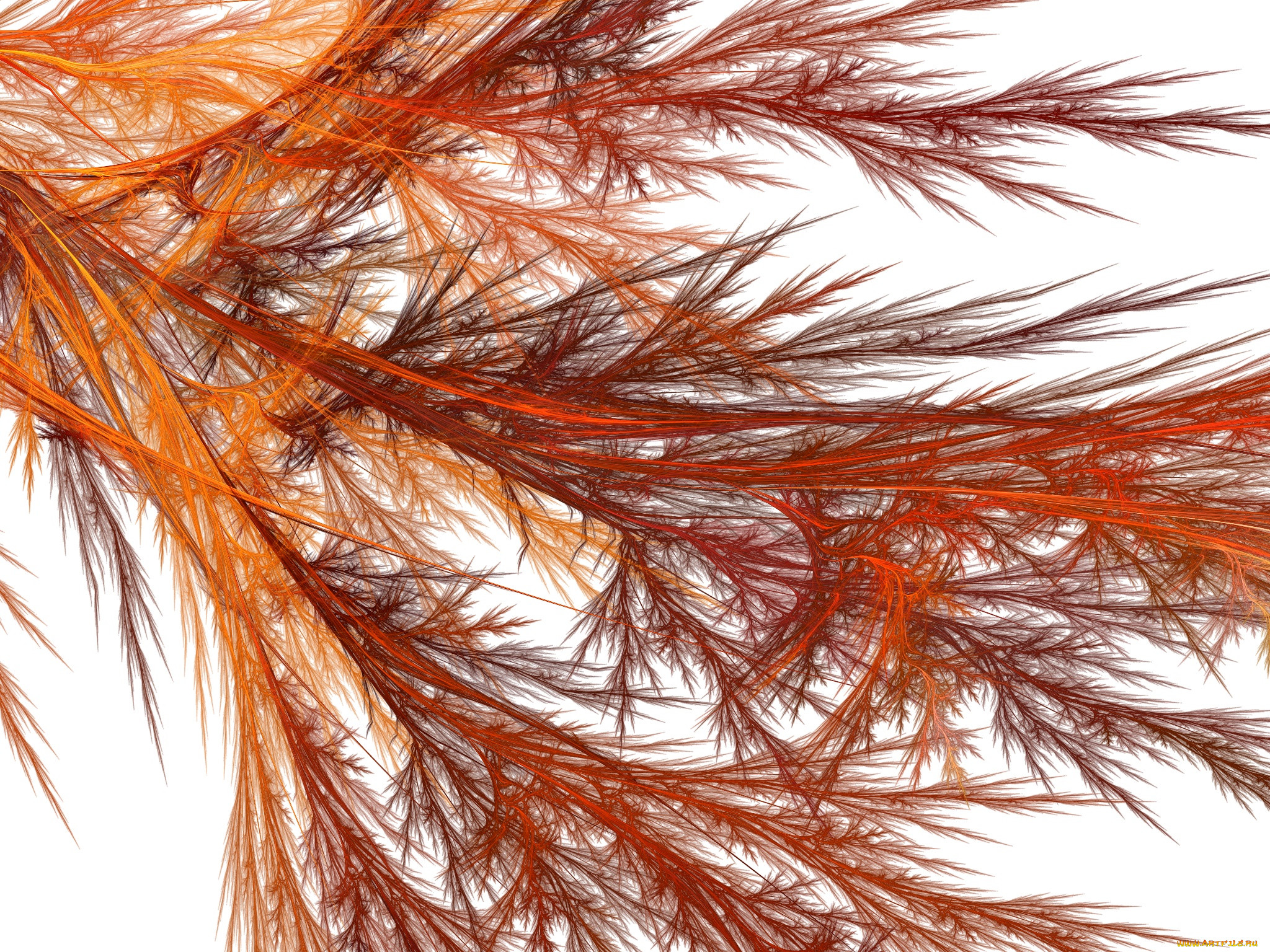 3 ,  , abstract, , , 